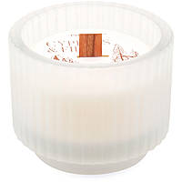 candela Paddywax Cypress & Fir Christmas CFH0501EU