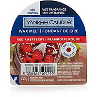 candela Yankee Candle Cera da Fondere 1676086E