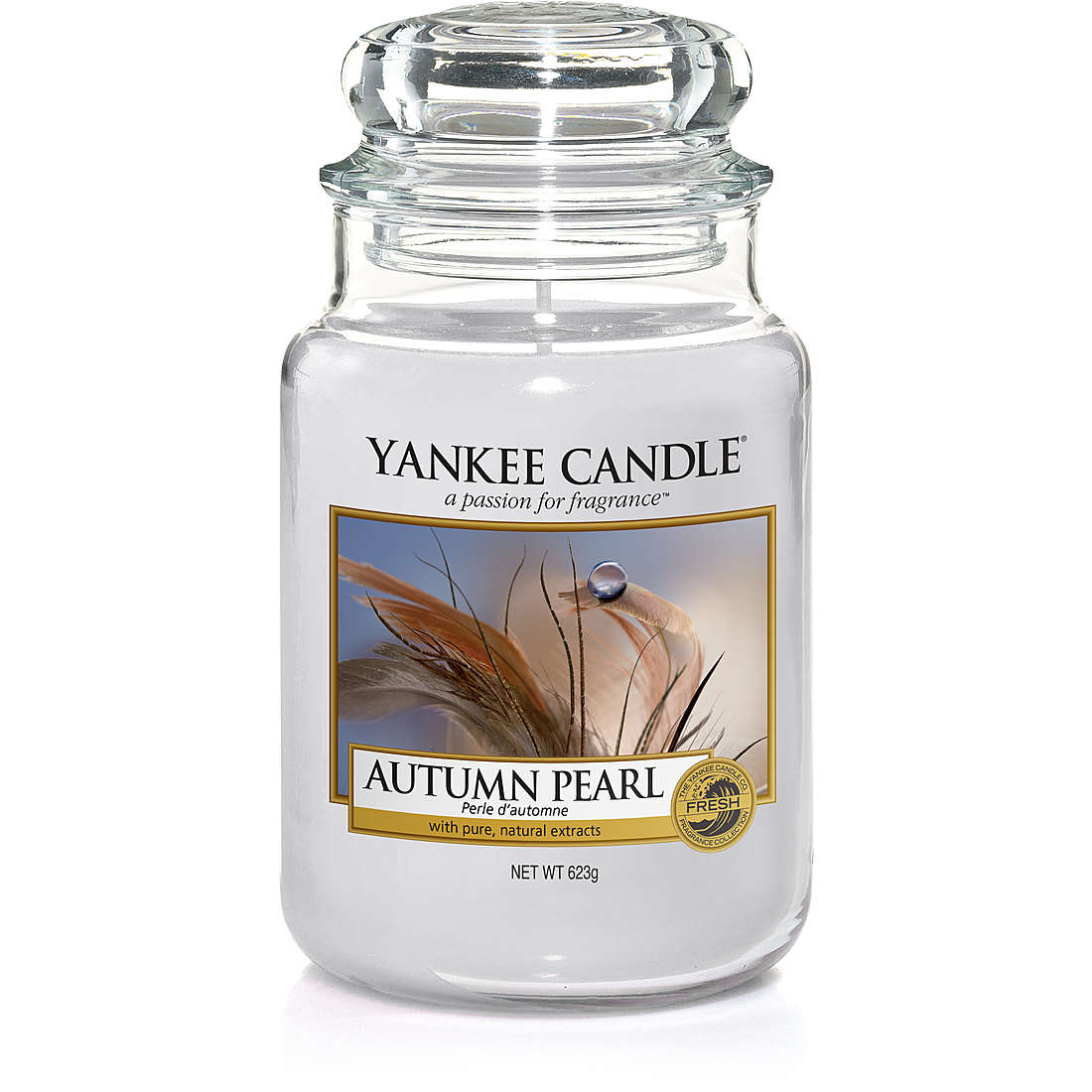 Candela Yankee Candle Giara, Grande colore Grigio/Argento 1591460E