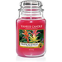 Candela Yankee Candle Giara, Grande colore Rosa 1577809E