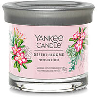 candela Yankee Candle SS24 Q1 1749350E