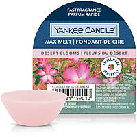 candela Yankee Candle SS24 Q1 1750737E
