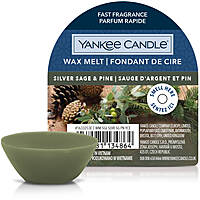Cera da fondere di Yankee Candle Silver Sage & Pine 1633253E