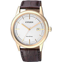 Citizen Eco-Drive orologio solo tempo uomo AW1233-01A