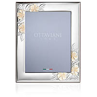 frame Ottaviani 255020BM