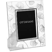 frame Ottaviani Miro Silver 6000C