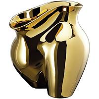 vaso da interno Rosenthal Design 14484-426157-26026