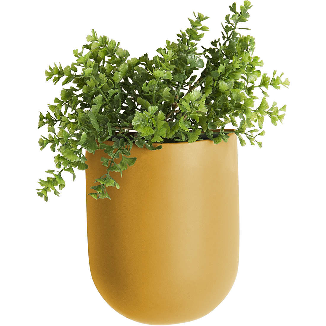 vaso Present Time Plant Pot PT3383YE
