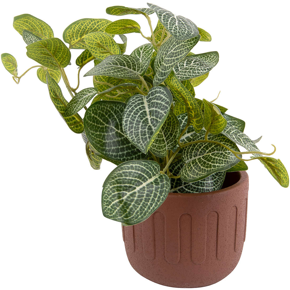 vaso Present Time Plant Pot PT3605BR